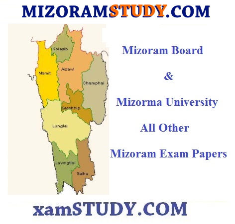 Mizoram DELED PAPERS